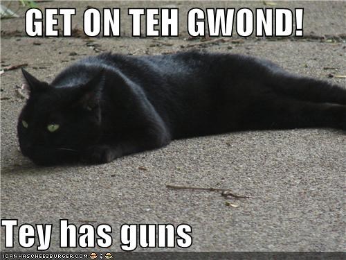 GET ON TEH GWOND!  Tey has guns