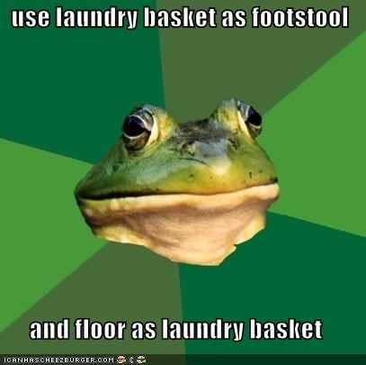 Foul Bachelor Frog: Priorities