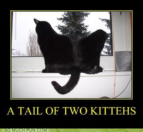 A Tail of Two Kittehs