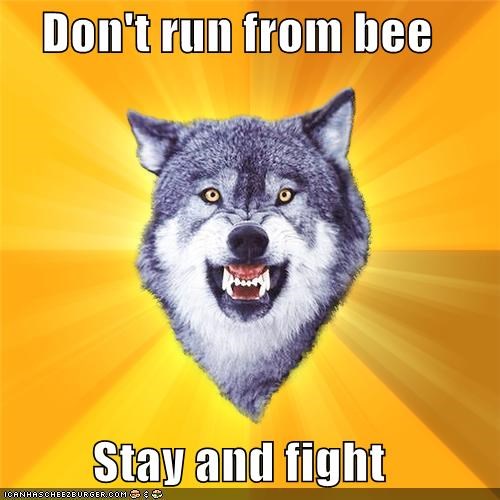 Courage Wolf: Don't run from bee
