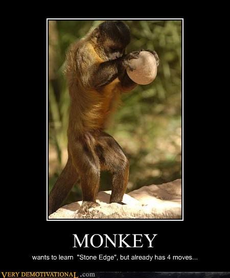 MONKEY