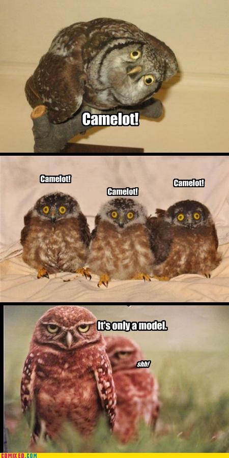 Camelot!!!