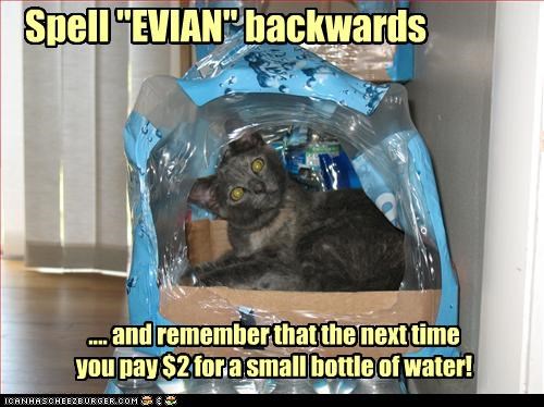 Spell EVIAN backwards
