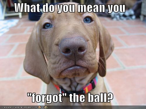 What do you mean you  "forgot" the ball?