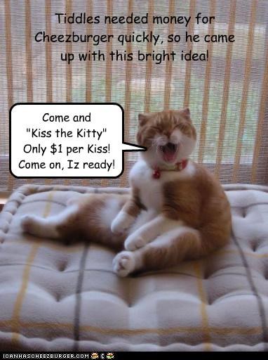 Tiddles needed money for Cheezburger quickly, so he came  up with this bright idea!