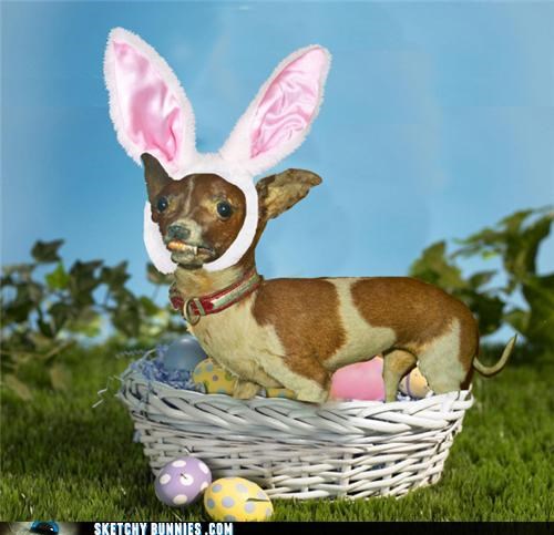 Rizzydog is the Easter Doggy