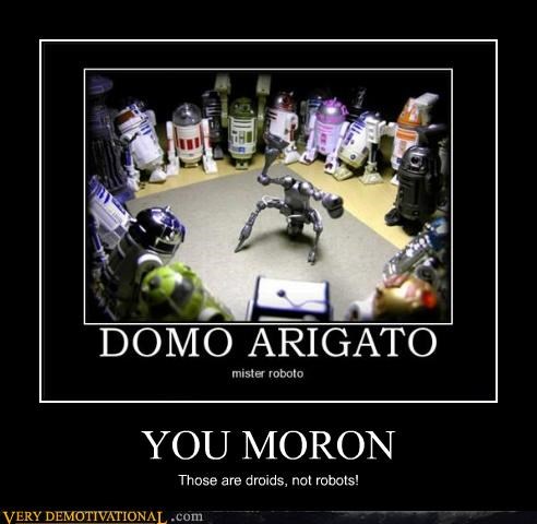 YOU MORON