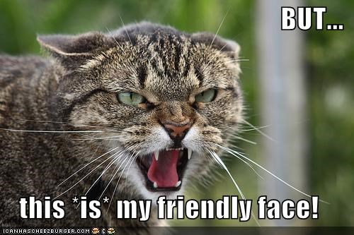 BUT...  this *is* my friendly face!