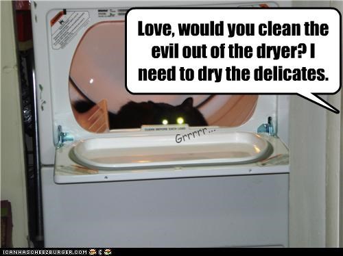 Love, would you clean the evil out of the dryer? I need to dry the delicates.