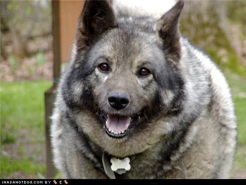 Smilin fer teh camera!
