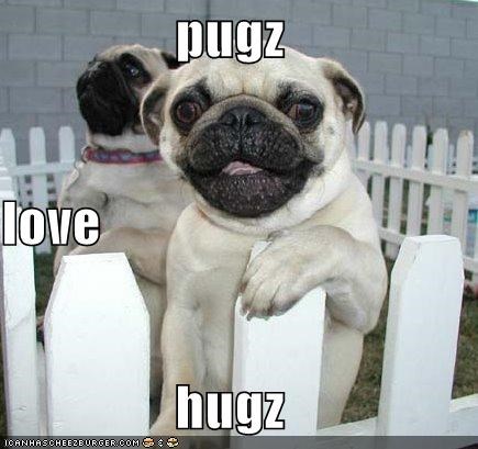 pugz