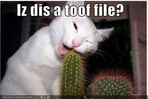 Iz dis a toof file?