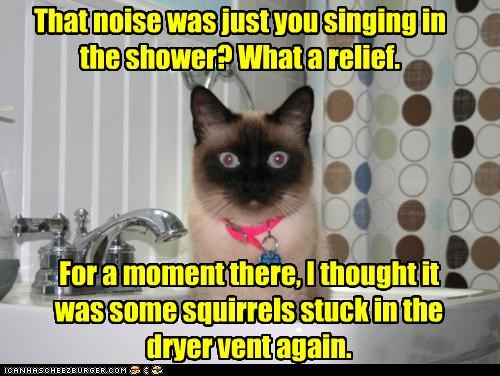 That noise