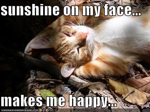 sunshine on my face...  makes me happy...