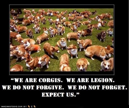 Million Corgi March