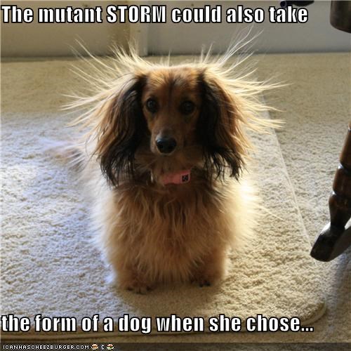 The mutant STORM