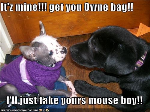 It'z mine!!! get you Owne bag!!  I'll just take yours mouse boy!!