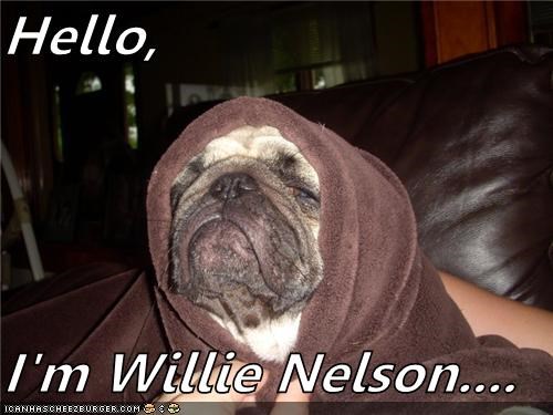 Hello,  I'm Willie Nelson....