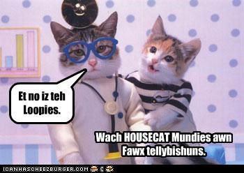 Dis weak, Housecat gibz teh payshint sum gud noozez.