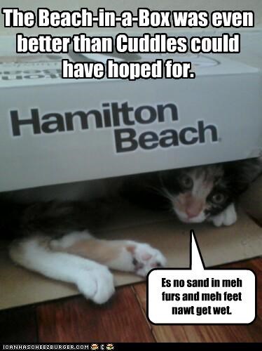 Beach-in-a-Box