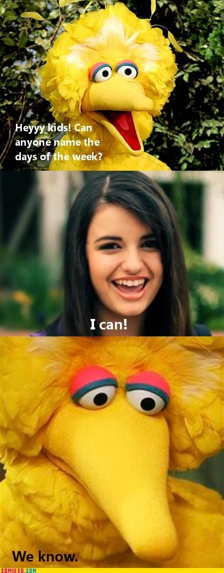 You Made Big Bird Sad.