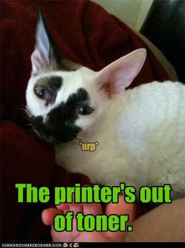 The printer's