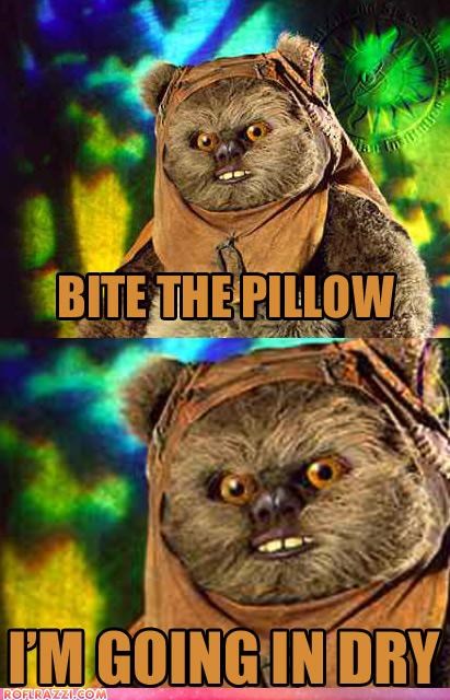 Ewoks Are Terrible Lovers...
