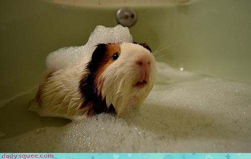 Bath Time is NOT the Best Time