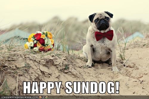 HAPPY SUNDOG!