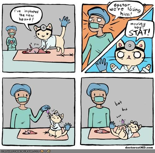 Kitteh Komic of teh Day: Dr. Cat Attempts Open Heart Surgery