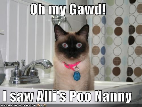 Oh my Gawd!  I saw Alli's Poo Nanny