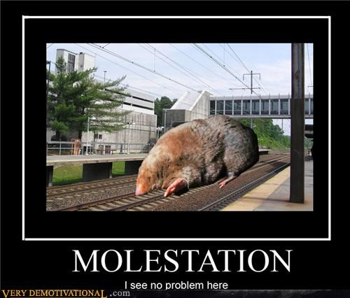 Molestation