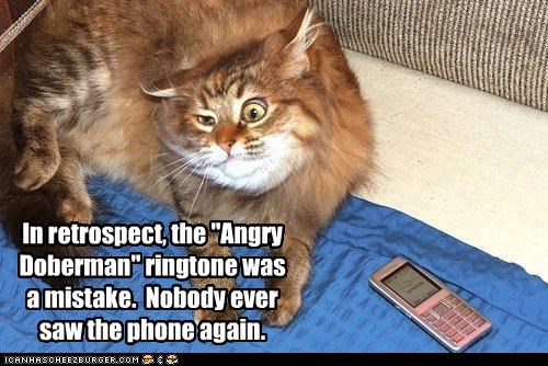 In retrospect, the "Angry Doberman" ringtone was a mistake.  Nobody ever saw the phone again.