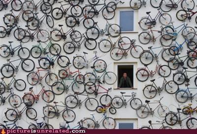 Nice Bikes!