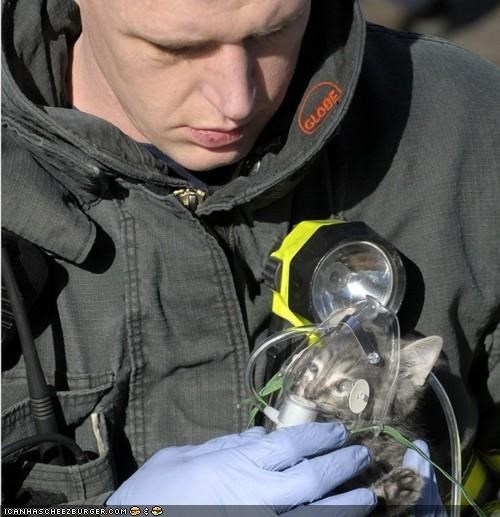 Missoula Firefighters Save Kitten