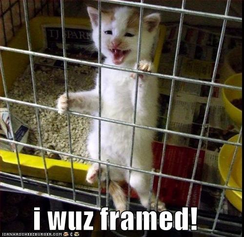 i wuz framed!