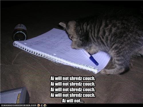 Bad kitteh....