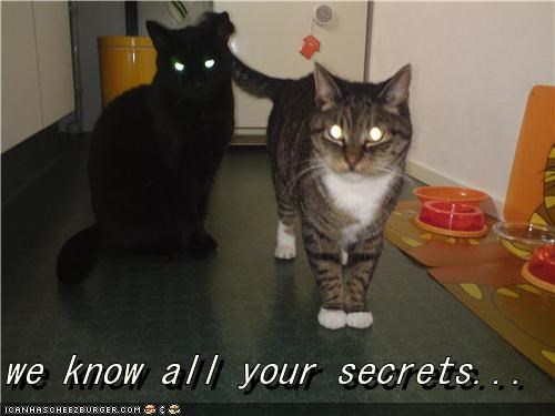 we know all your secrets...