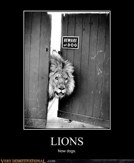 LIONS