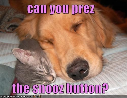 can you prez