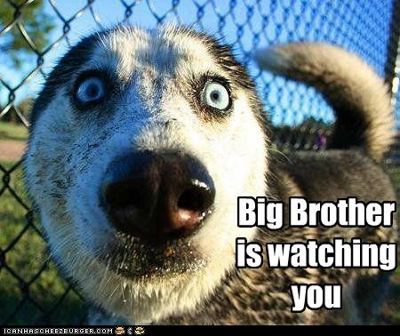 Big Brother