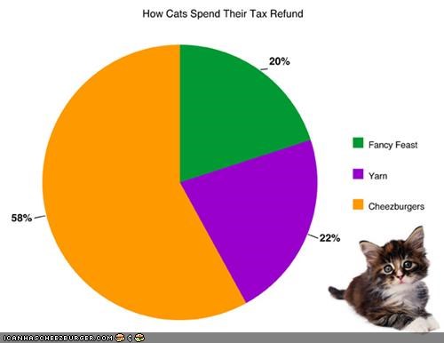 How Kittehs Spend Their Tax Refund