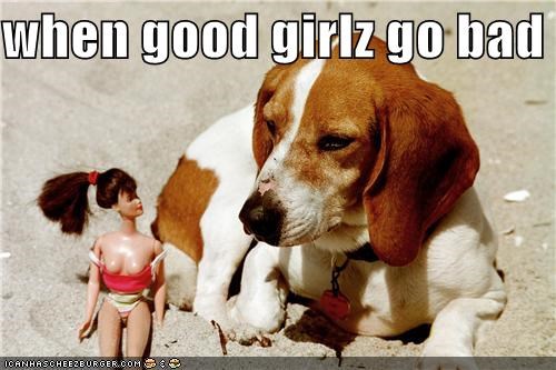 when good girlz go bad