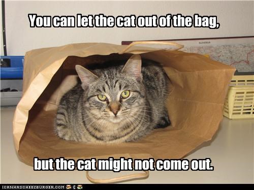 You can let the cat
