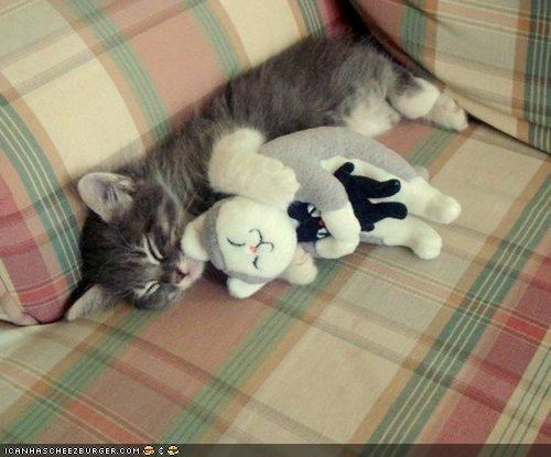 Cyoot Kitteh of teh Day: Snuggle Buddies