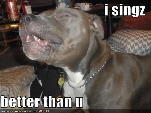 i singz