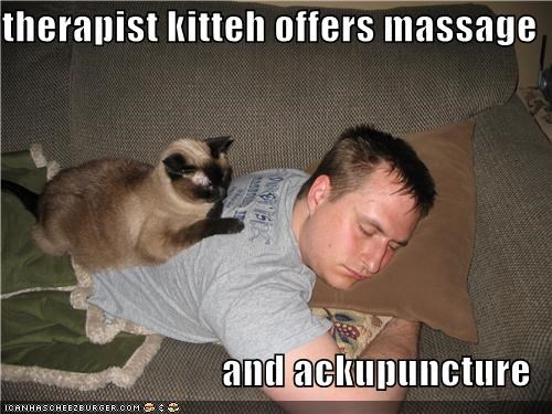 therapist kitteh