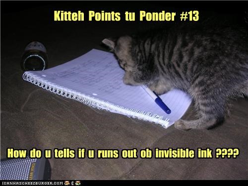 Kitteh Points tu Ponder