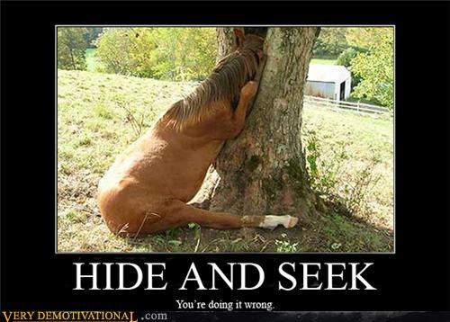 HIDE AND SEEK