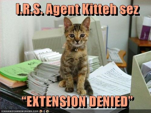 I.R.S. Agent Kitteh sez      “EXTENSION DENIED”